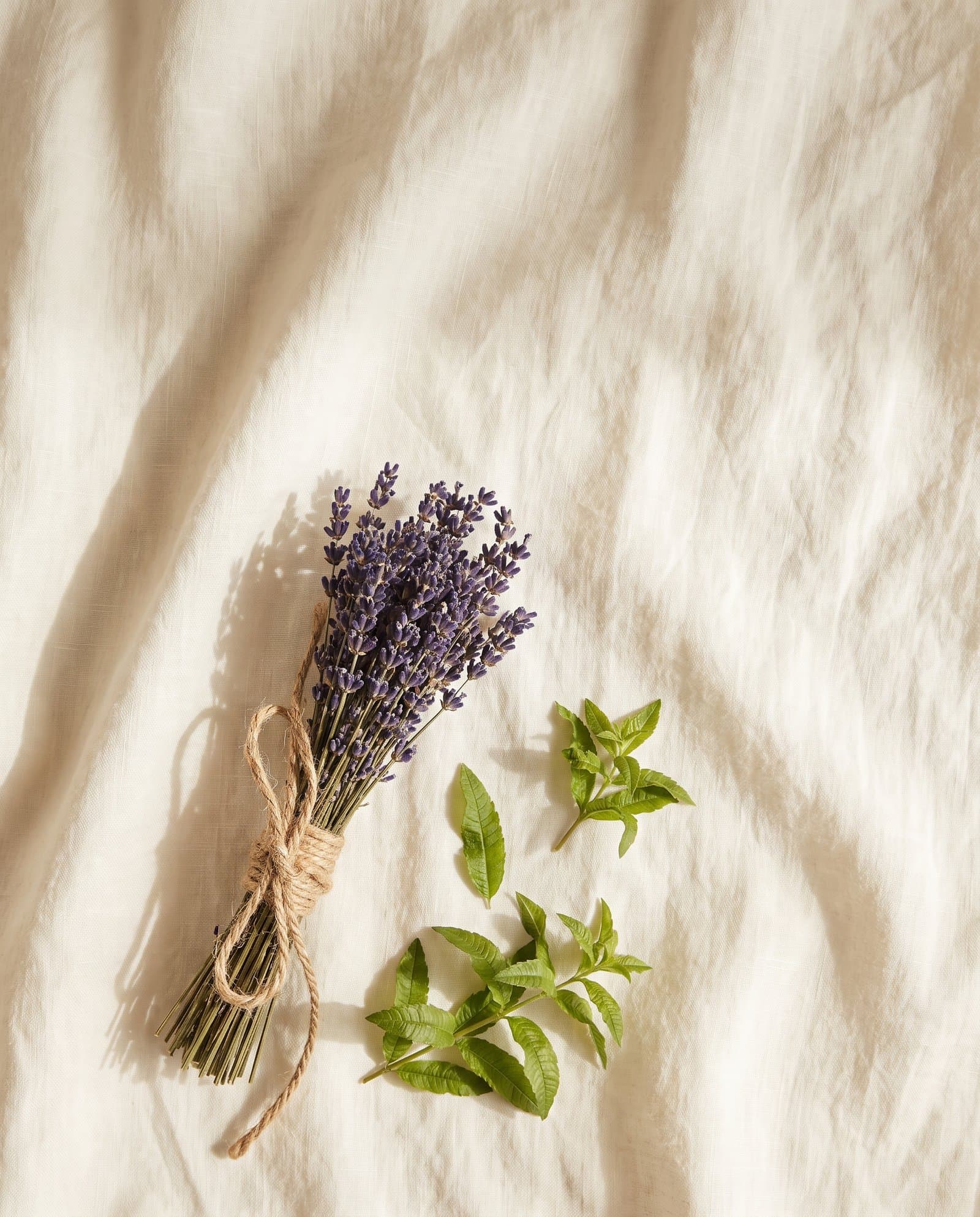 Dried lavender tied with twine and fresh verbena sprigs on ivory linen