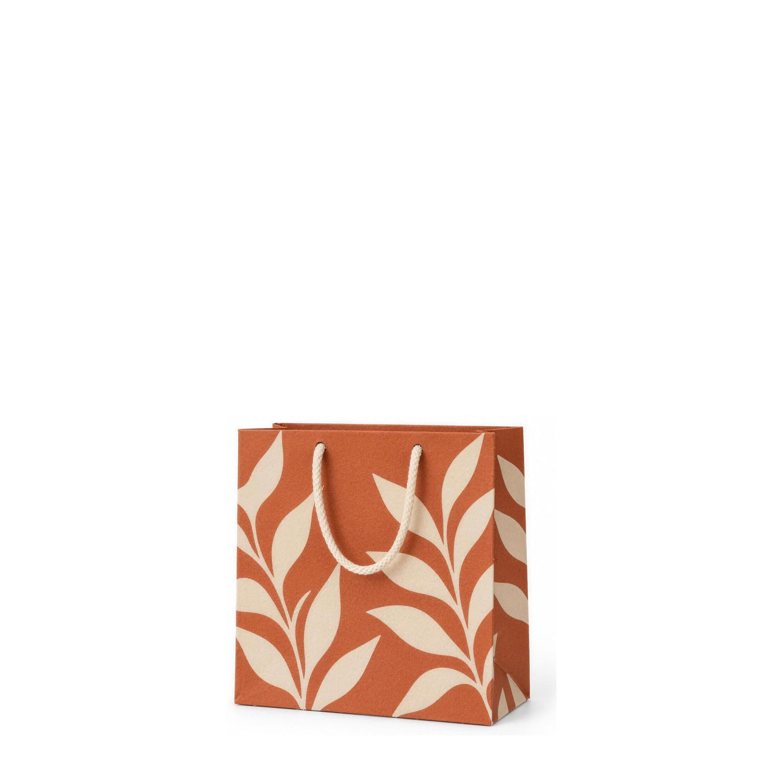 Paper Bag - 220 x 80 x 230mm